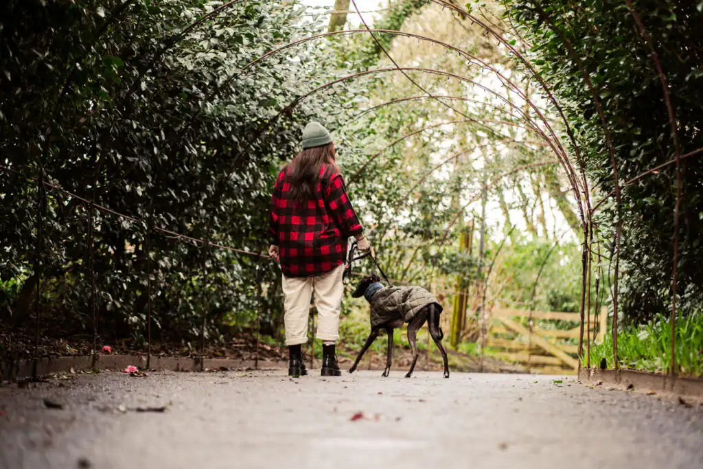 A woman walks her dog through a lush tunnel at the Lost Gardens of Heligan, a dog-friendly attraction in Cornwall.