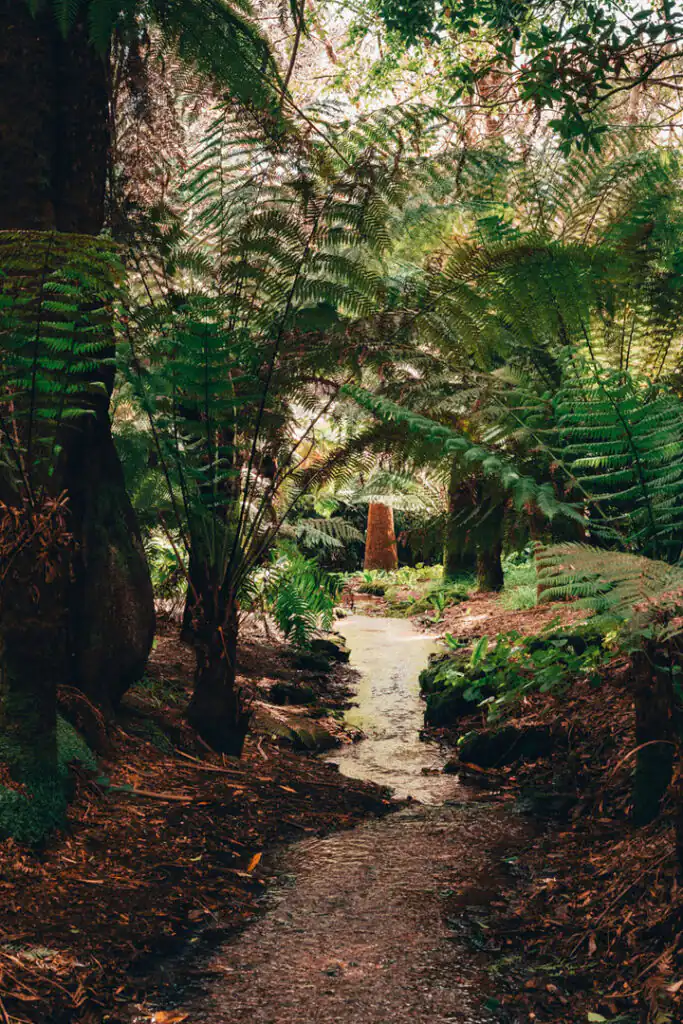 A river flowing through Trengwainton Gardens in Cornwall, a popular National Trust location.