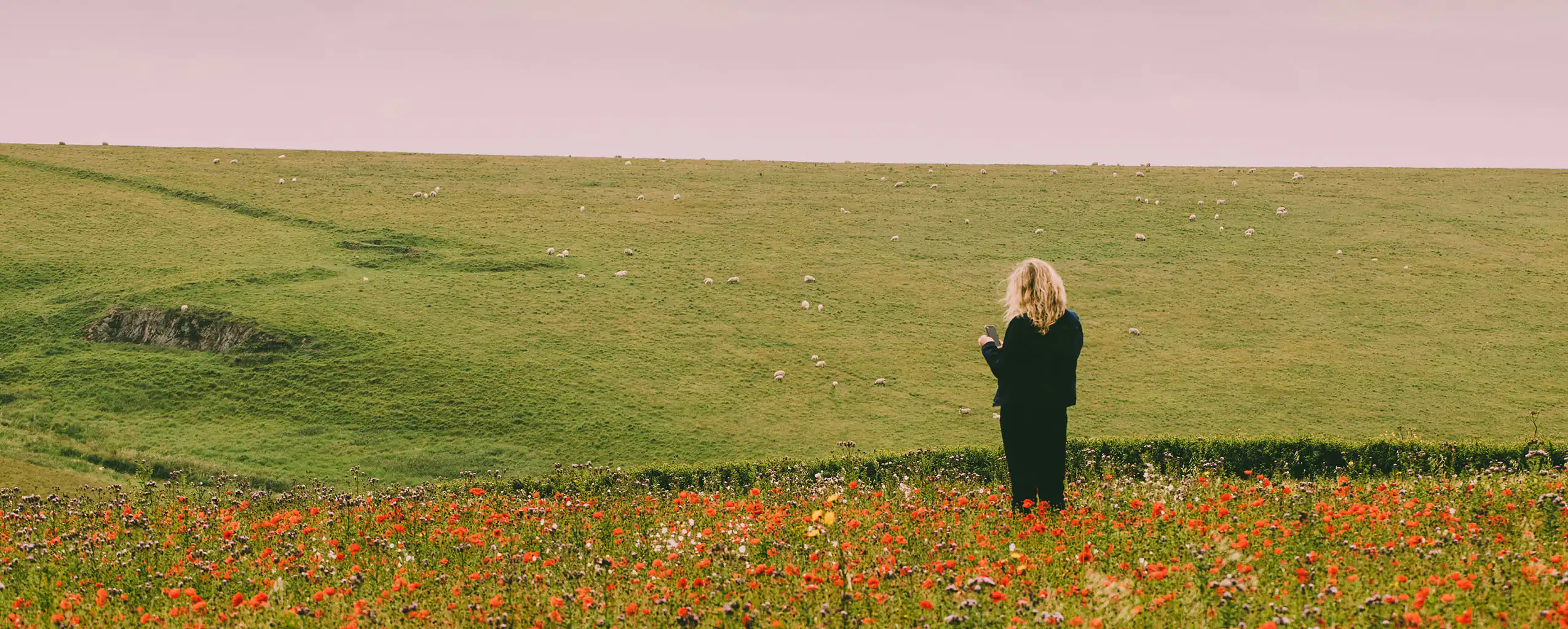 A woman stands joyfully in a vibrant poppy field in Cornwall, a great place to visit from a rural cottage in Cornwall.