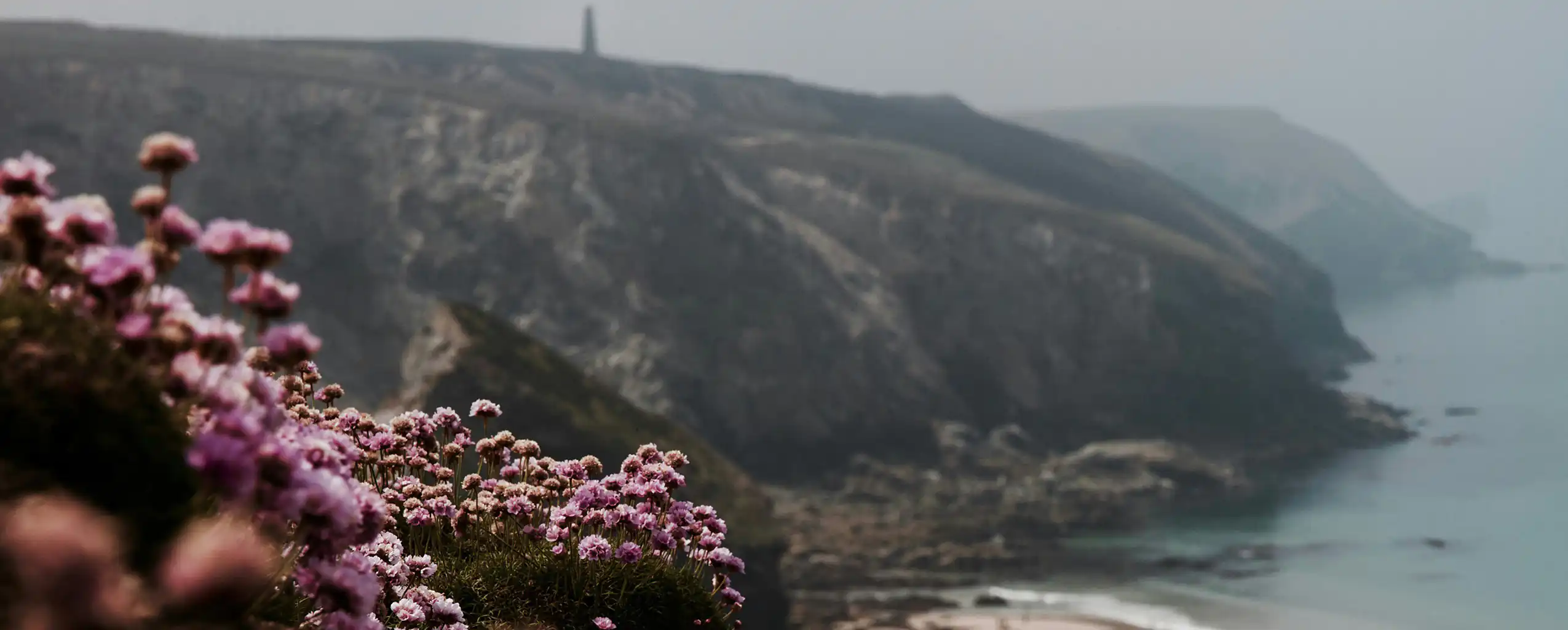 A scenic view of the ocean from a cliff, adorned with vibrant flowers and the rugged beauty of the Cornish coast, a great place to visit from your last minute holiday cottage in Cornwall.