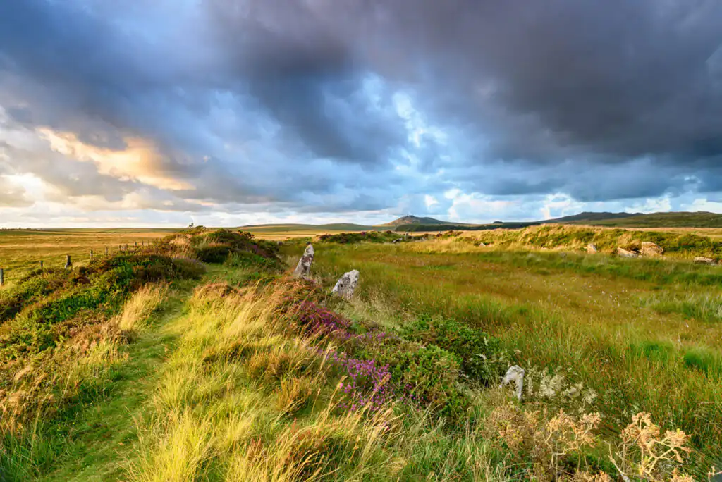 Grassy field with a winding path under a stormy sky, perfect for dog walking at Bodmin Moor in Cornwall.