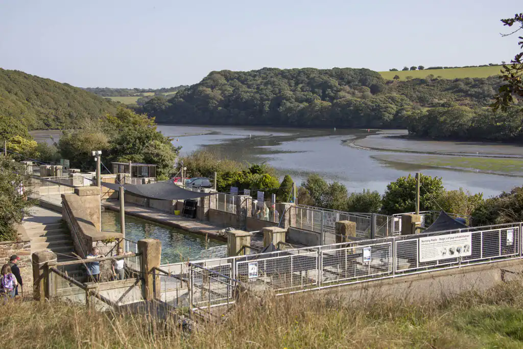 A large body of water at the Cornish Seal Sanctuary, perfect for family days out in Cornwall.