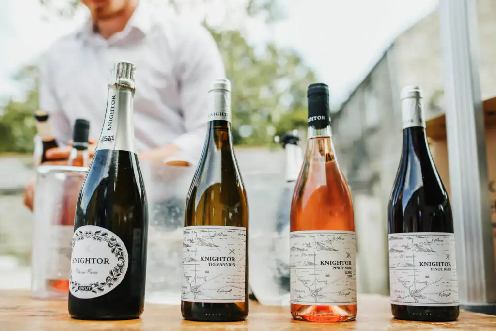 Guests enjoying a wine tasting experience at Knightor Winery, surrounded by lush vineyards in Cornwall, one of the best Cornish Wineries and Vineyards to visit.