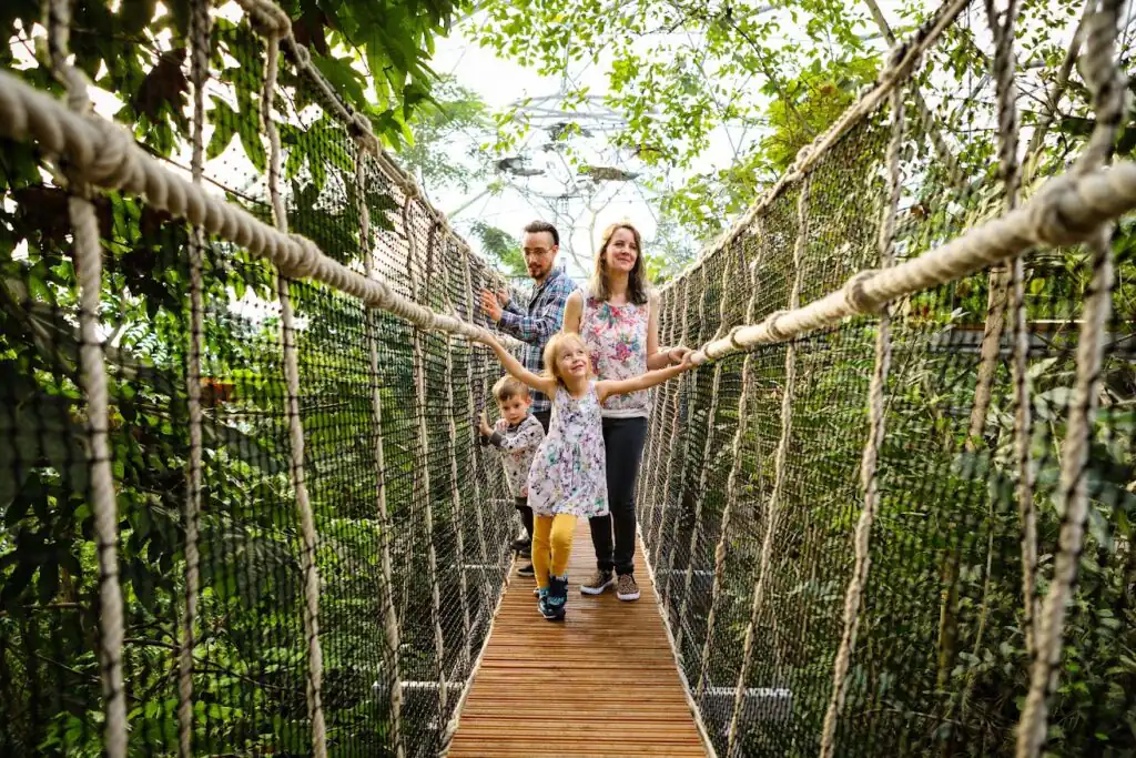 Family crossing a rope bridge in the Rainforest Biome at the Eden Project, enjoying a family day out in Cornwall.