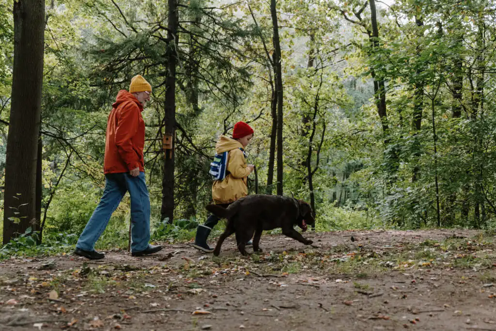 Two people and a dog walking in a forest in Cornwall, a great dog-friendly place during a holiday in Cornwall.