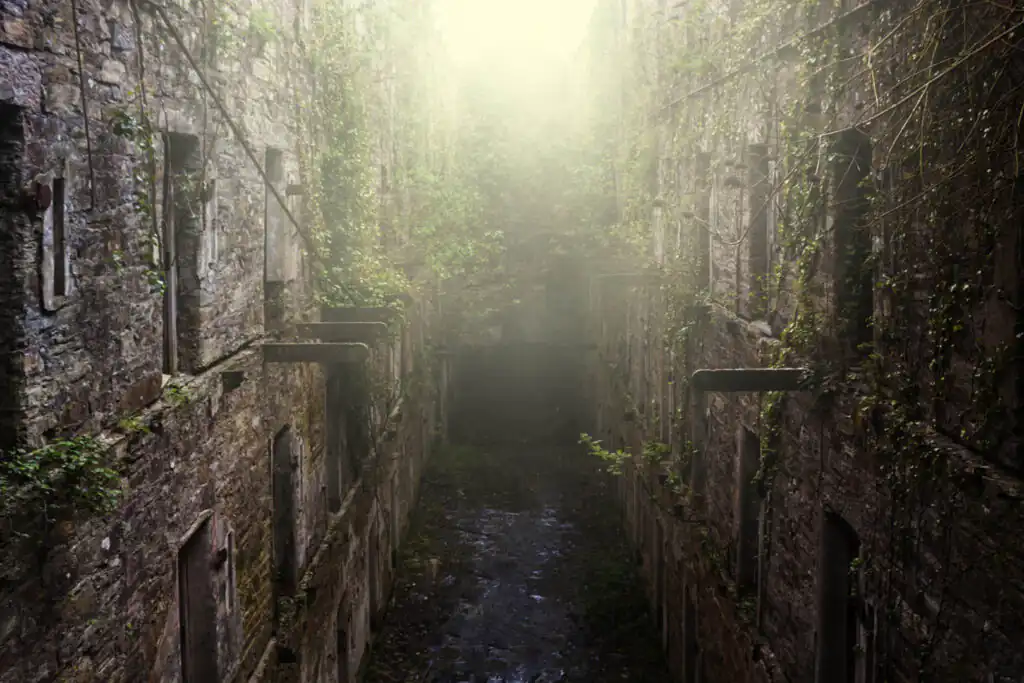Old stone walls of Bodmin Jail ruins with vines and barred windows, a great historic site in Cornwall.