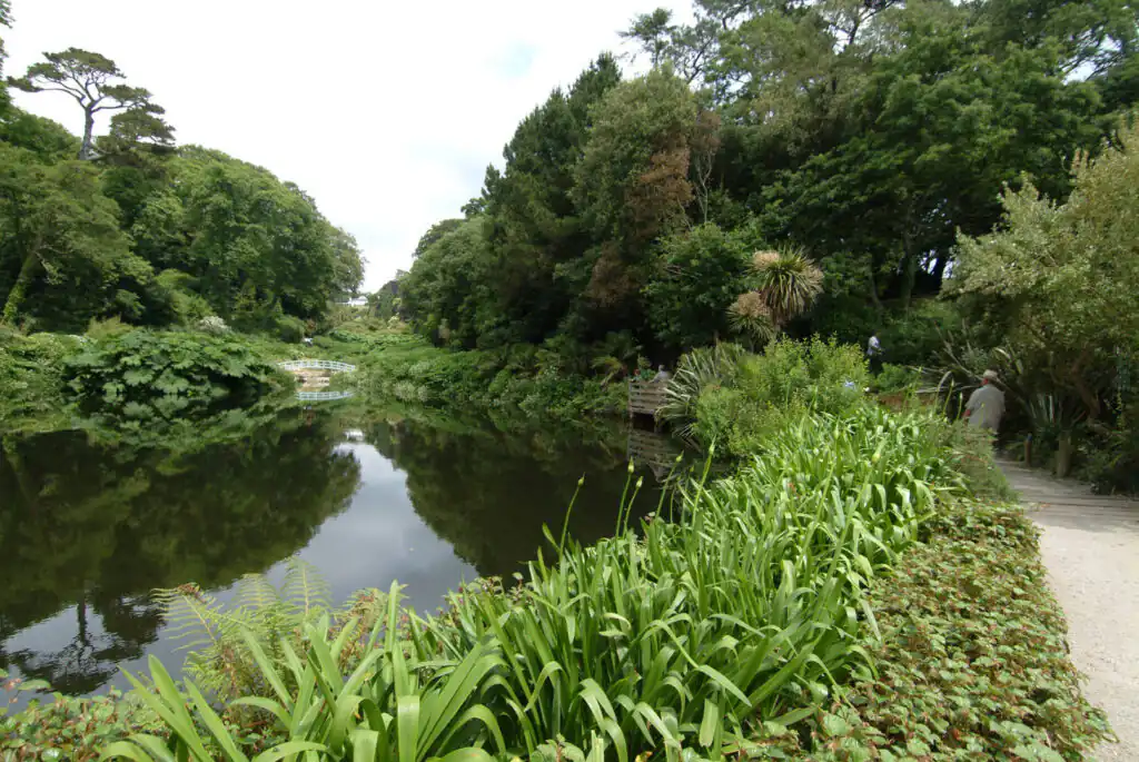 A serene pond with a charming bridge, nestled in Trebah Garden, Cornwall, surrounded by lush greenery.