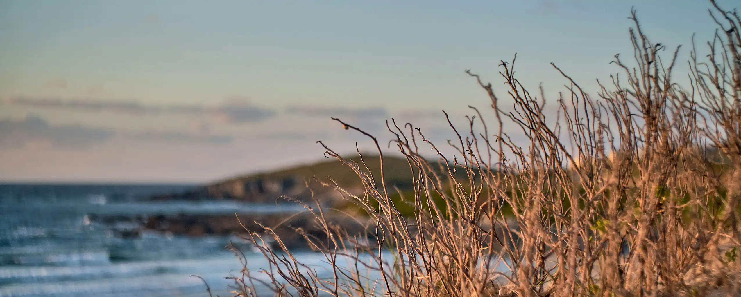 A scenic view of Fistral Beach in Newquay, Cornwall, featuring the ocean and grassy areas along the shore, a must visit beach from a Newquay Holiday Cottage.